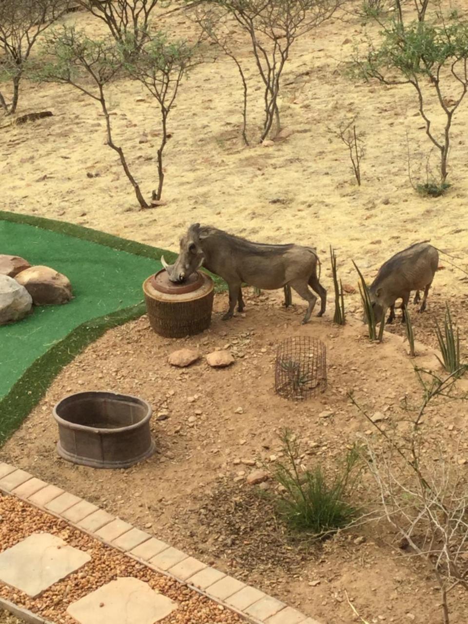 Windhoek Rural Self Catering Voigtland Exteriér fotografie